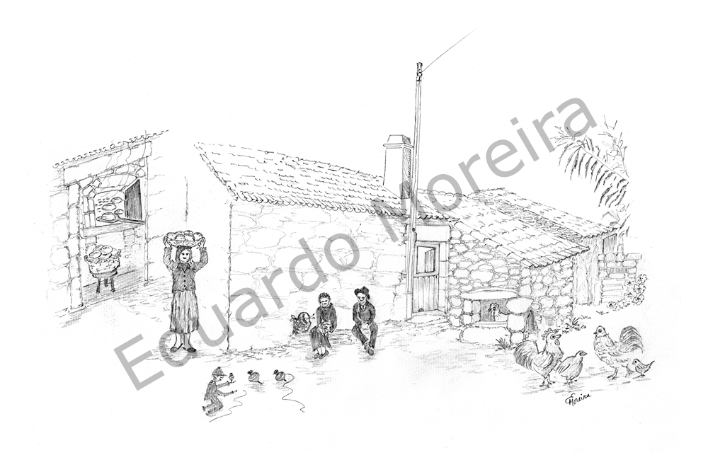 [0178] Tomadias, Vila Nova de Foz Côa – 2